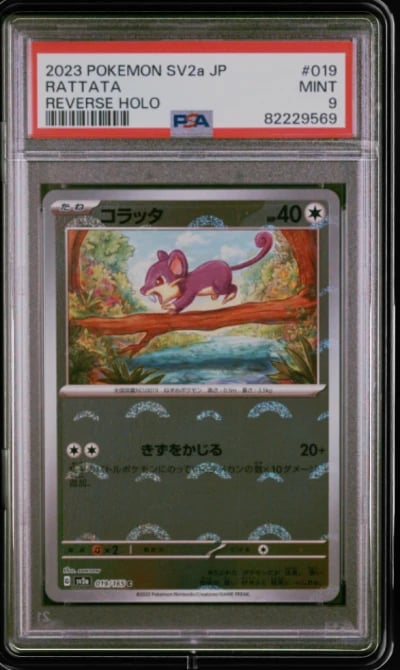 2023 POKEMON JPN SV2A-POKEMON 15