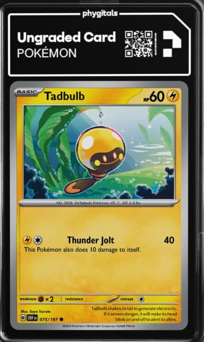 2023 Tadbulb Obsidian Flames #07