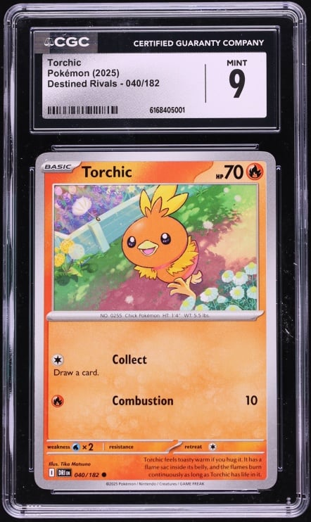 2025 Pokemon Scarlet & Violet Destined Rivals Torchic #040 CGC 9 MINT