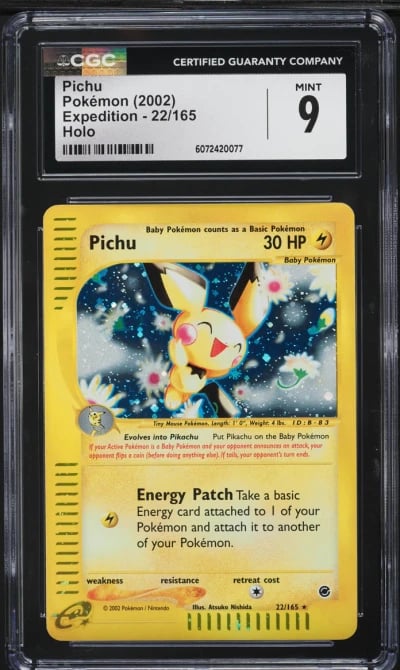 2002 Pokemon Expedition Holo Pic