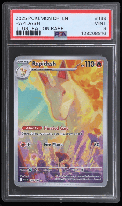 2025 Pokemon Scarlet and Violet Destined Rivals Illustration Rare Rapidash #189 PSA 9