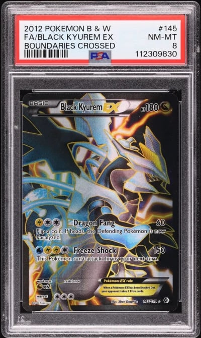 2012 Pokemon BW Boundaries Cross