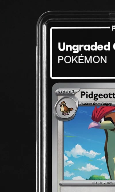 2023 Pidgeotto 151 #17