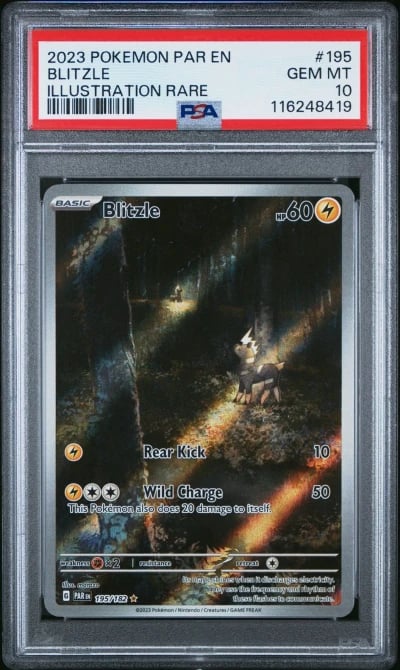 2023 POKEMON PAR EN-PARADOX RIFT ILLUSTRATION RARE #195 BLITZLE PSA 10