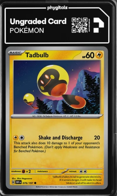 2023 Tadbulb Obsidian Flames #07