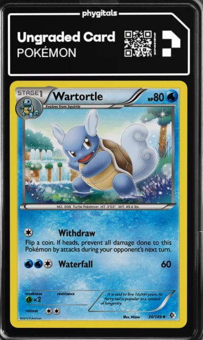 2012 Wartortle Boundaries Crosse