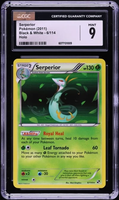 2011 Pokemon Black & White Holo 