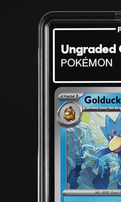 2023 Golduck 151 #55