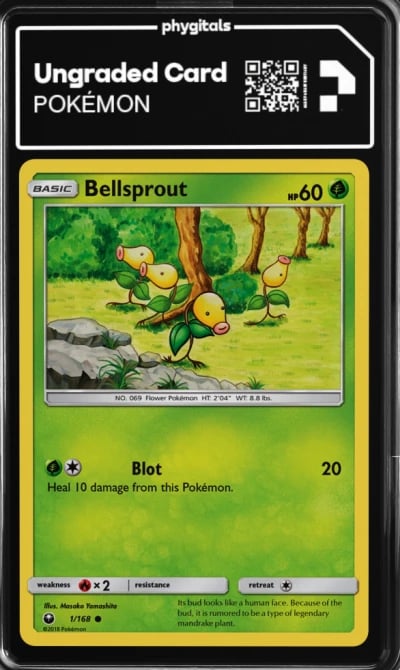 2018 Bellsprout Celestial Storm 