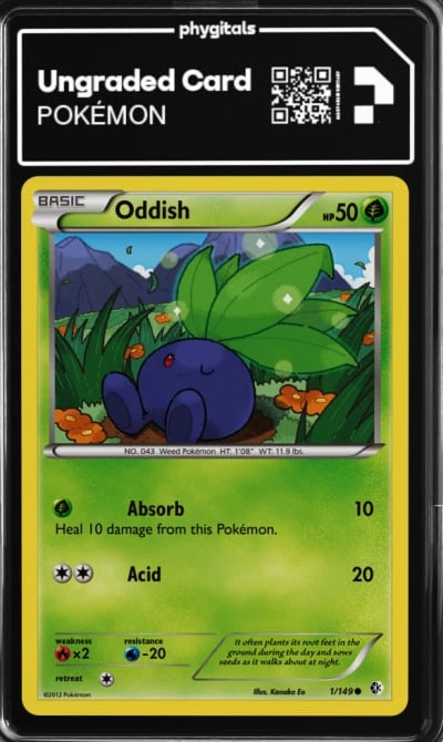 2012 Oddish Boundaries Crossed #