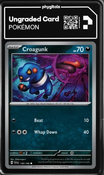 2023 Croagunk Sc