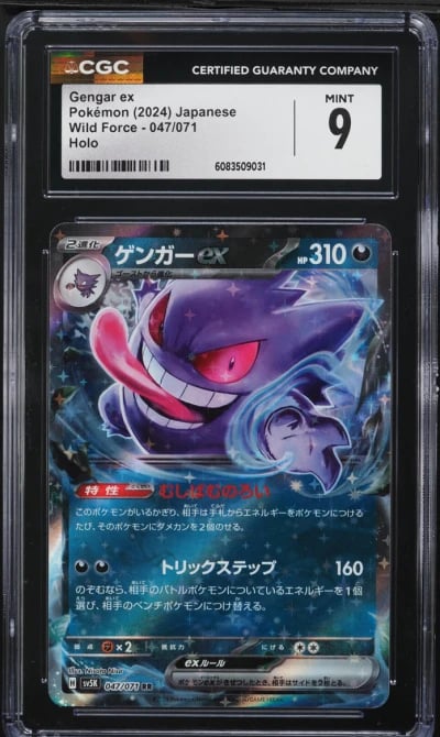 2024 Pokemon Japanese SV Wild Fo