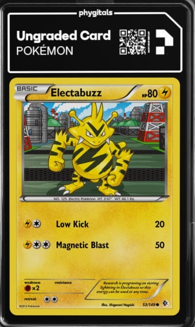 2012 Electabuzz Boundaries Cross