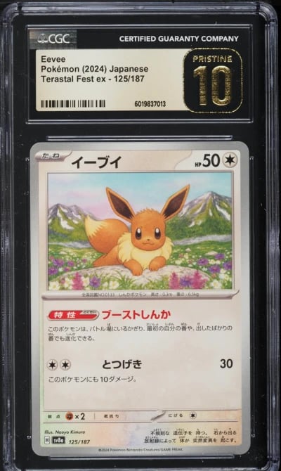 2024 Pokemon Japanese SV Terasta
