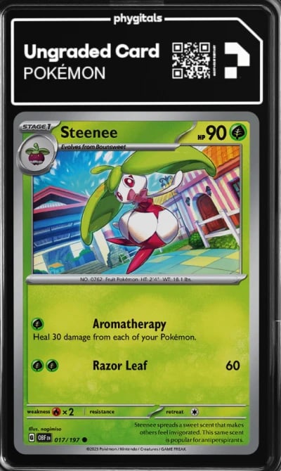 2023 Steenee Obsidian Flames #01