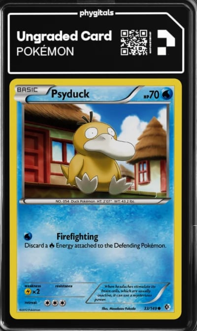 2012 Psyduck Boundaries Crossed 