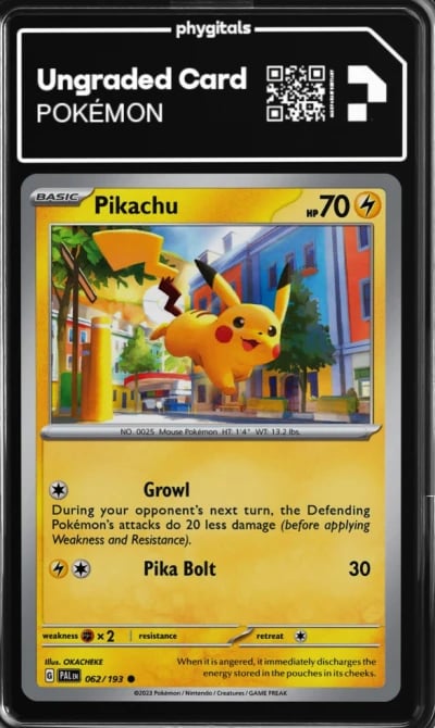 2023 Pikachu Pal