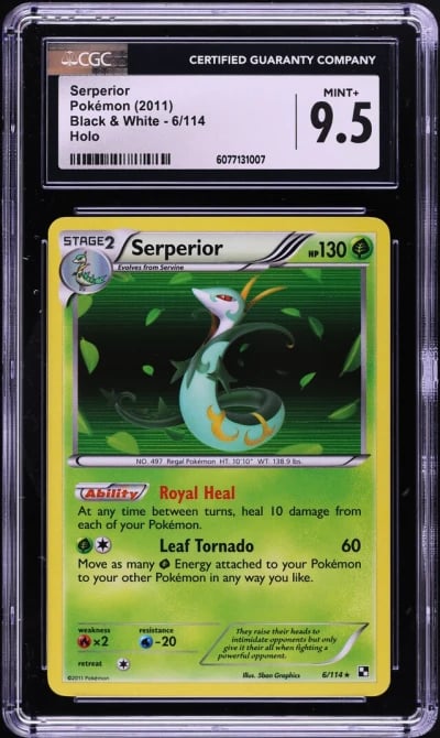 2011 Pokemon Black & White Holo Serperior #6 CGC 9.5 MINT+