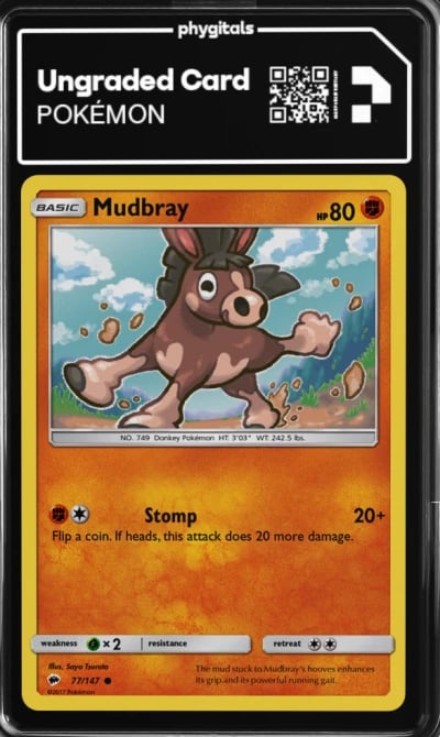 2017 Mudbray Burning Shadows #77