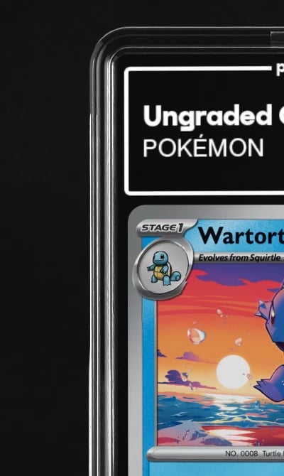 2023 Wartortle 151 #8