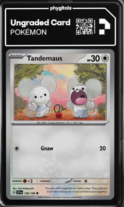 2023 Tandemaus Scarlet & Violet 