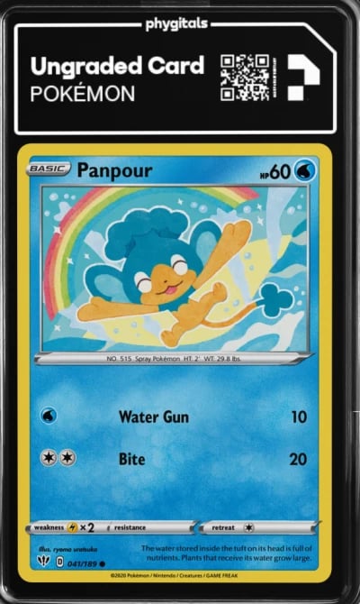 2020 Panpour Darkness Ablaze #041
