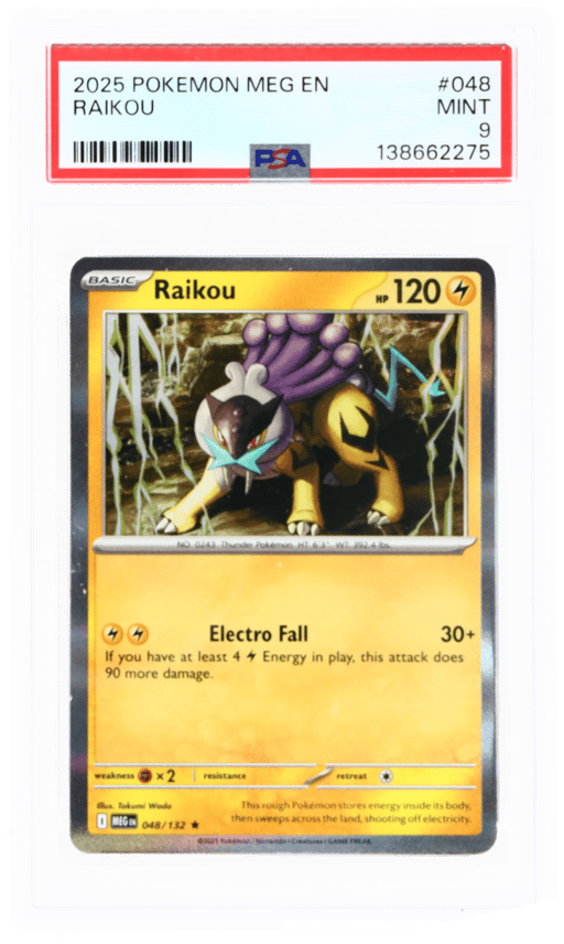 2025 Pokemon Mega Evolution Raik