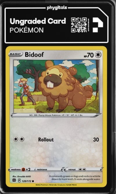 2022 Bidoof Brilliant Stars #120