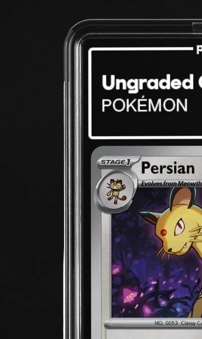 2023 Persian 151 #53